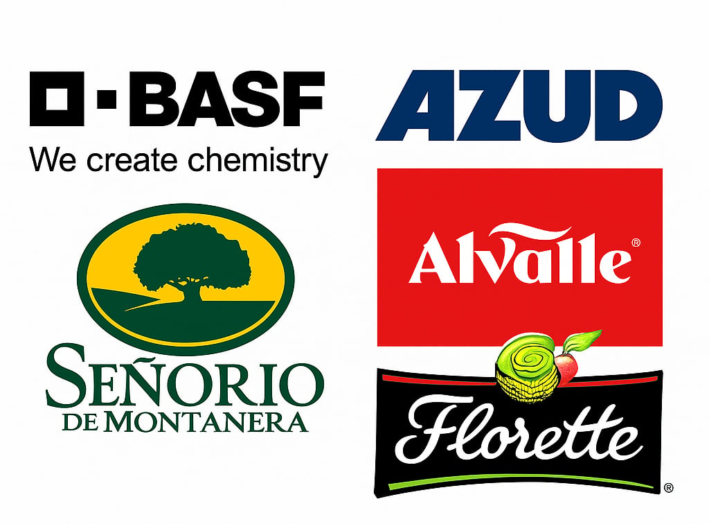 Cuánto cuesta no tener una web en el sector agroalimentario